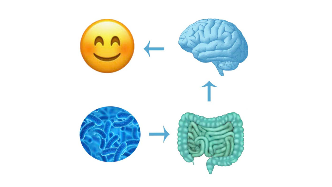 psychobiotika